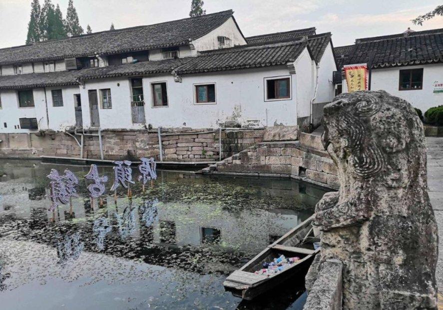生化危机：浣熊市行动